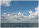 Sailing trip Lelystad - Enkhuizen I