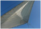 Sailing trip Lelystad - Enkhuizen II