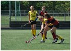 HCT MC4 - Deventer MC4