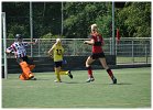 HCT MC4 - Deventer MC4
