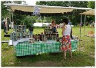 Wijkfeest Slangenbeek 2016 zondag