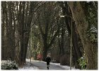 Slangenbeekloop 2017 Houtmaat