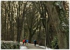 Slangenbeekloop 2017 Houtmaat