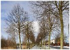 Slangenbeekloop 2017 Wijkcentrum
