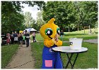 25ste Wijkfeest Slangenbeek Zaterdag