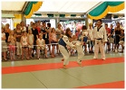 Wijkfeest Slangenbeek 2010