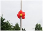 Slangenbeek wijkfeest 2015 zaterdag